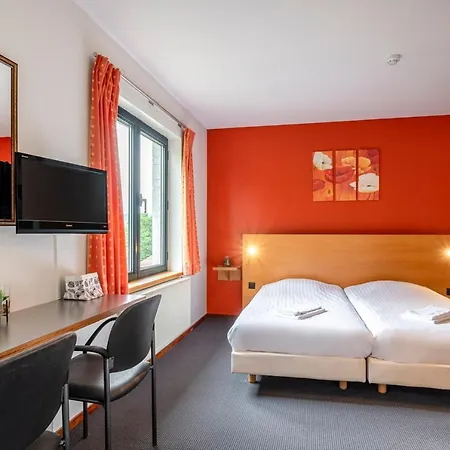 Corsendonk Sol Cress ווילסלאם